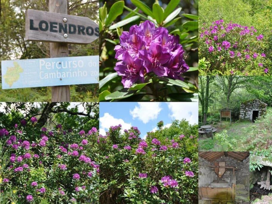 Villa Casa Quelha Da Presa Espinho  Esterno foto