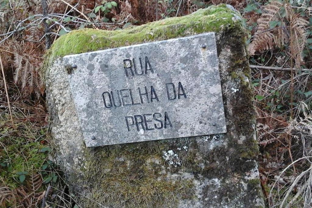 Villa Casa Quelha Da Presa Espinho  Esterno foto