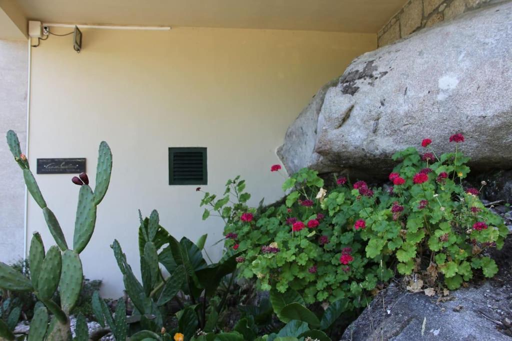 Villa Casa Quelha Da Presa Espinho  Esterno foto